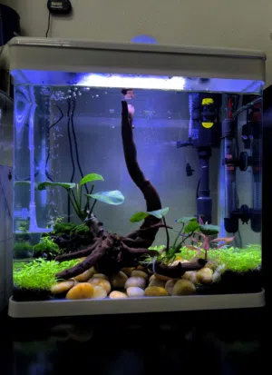 Aquarium for sale with all essential items included