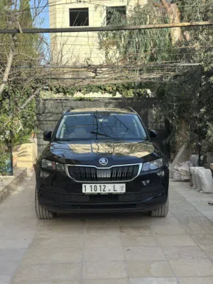 Skoda . Karoq . 2019 . Used2