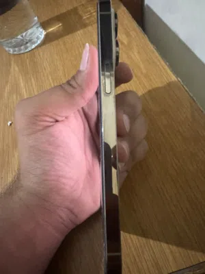 Apple iPhone 14 Pro Max 256 GB in Amman