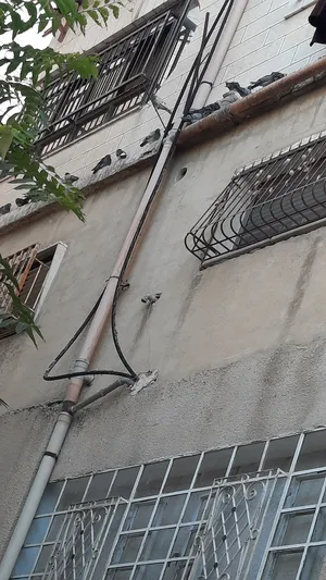 Residential . Yearly . 100 m20