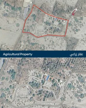 عقار زراعي حصري للبيع  بركاء، الباطنة Agricultural Property For Sale  Barka, Al Batinah