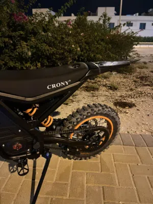 E-Bike Crony 05