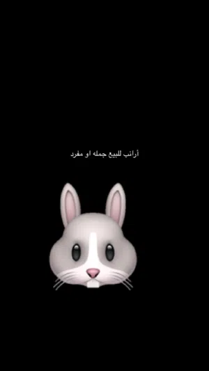 أرانب للبيع شوف الوصف