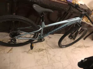 Mongoose bicycle
