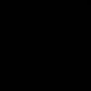ص ص 