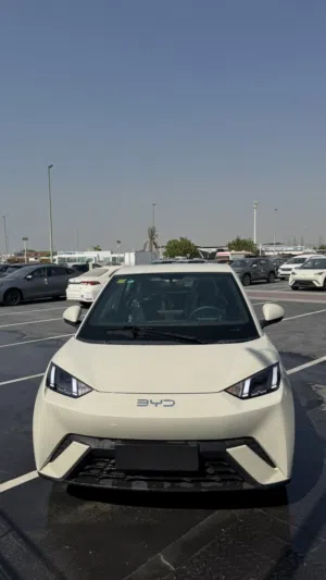 بي واي دي سيجول الكهربائية بالكامل 2025 زيروا