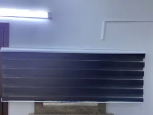 برداي زيبره للبيع