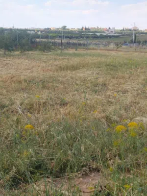 mixed-use-land-for-sale-in-amman-al-al