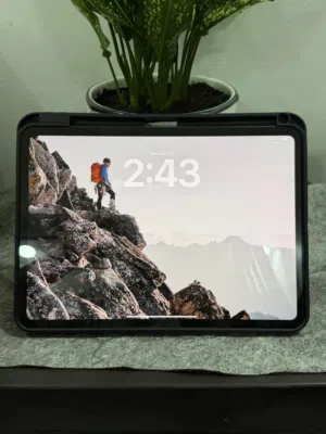 iPad pro M4 11inchs 256