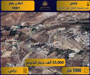 Farm Land for Sale in Amman Mahes