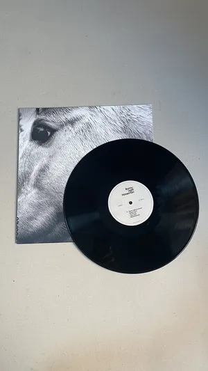 Bonny Light Horseman vinyl