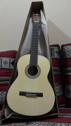 Brand New Guitar For Sale