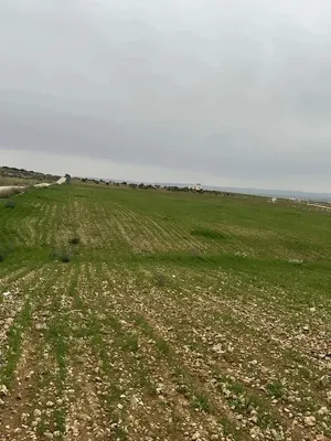 Farm Land for Sale in Irbid University of Science and Technology