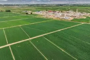 More than 6 bedrooms . 5+ Bathrooms . 200 m23