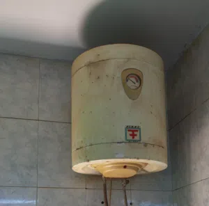 قيزر فياست مصري للبيع