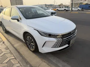 بي واي دي دستروير 2025رقم اربيل
