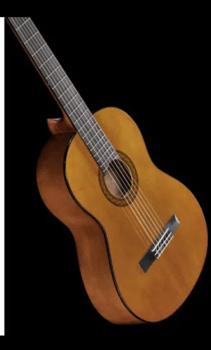 Ibanez Classic Guitar GA3 - Yamaha C40 Classical Guitar