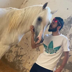 سند الخويلدي 