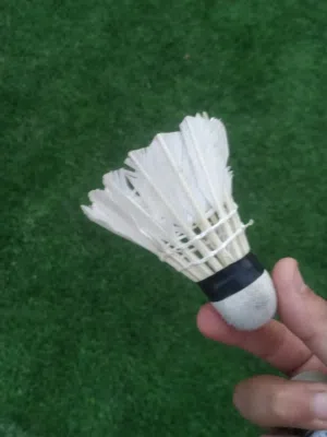 تنس ريشة مع مضارب عدد 2 وريشة عدد 2 ومع شنطة جيدة وقابلة التعليق في أي مكان المكان الخليل بيت أمر