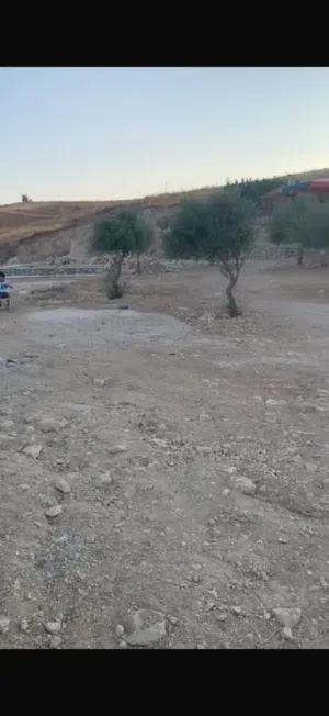 Farm Land for Sale in Salt Jala'd