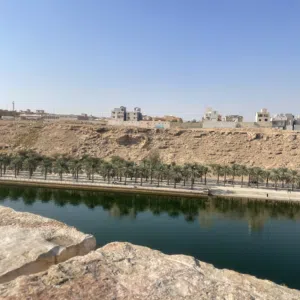 حمد 