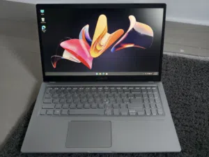 Asus Vivobook (intel 11th-Ram 12- SSD 256 M.2)