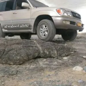 الإبتكار الهندسي للخدمات ش.ش.و