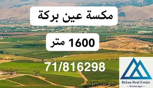 عقار للبيع مكسة عين بركة Ain Barakeh land