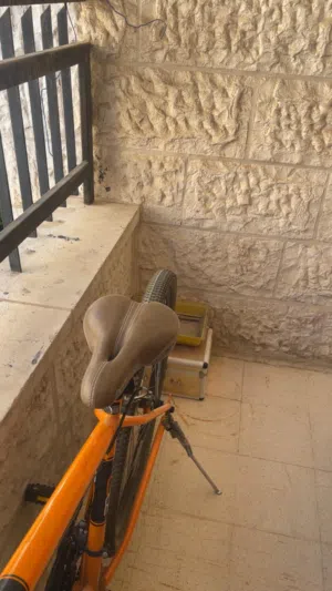 بسكليت جنط 29