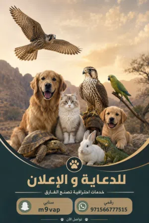 معلن حيونات ف الامارات واعلانات مجانيه جميع انواع الحيونات اليفه و مستلزماتها