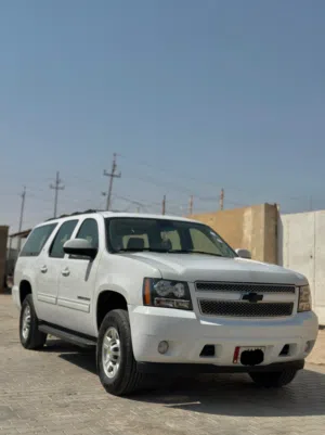 فحل خليجي للبيع 2011 كفاله