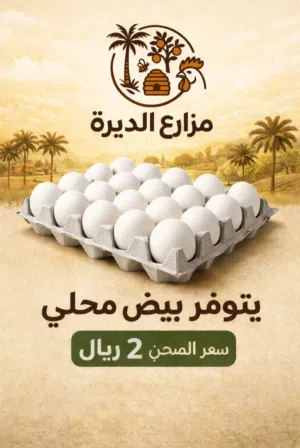 بيض عماني (محلي)