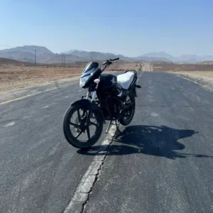الشكيلي 