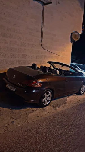 بيجو 307 كشف 2004