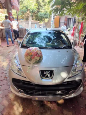 Used Peugeot 207 in Tanta