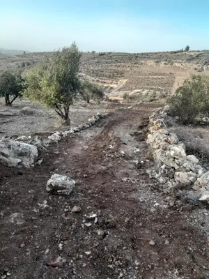 ‏الاستخدام المتعدد ‏.‏ 1 دونم ‏.‏ المالك‏3