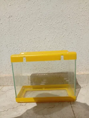 حوض السمك نضيف