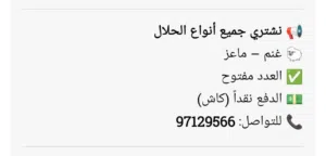 نشتري غنم و معزا العدد مفتوح والدفع كاش من جميع مناطق الكويت