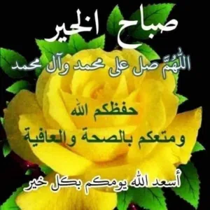 امل العلي