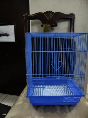 cage for birds like love birds