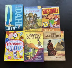 13 used books , but brand new condition, price is negotiable