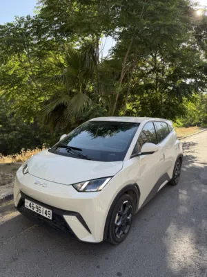 Byd model 2024 model 2025 استخدام شخصي  ممشى قليل فحص كامل من المالك شخصي اقل سعر ب السوق