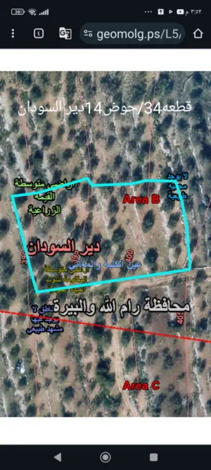 ارض زراعيه للبيع