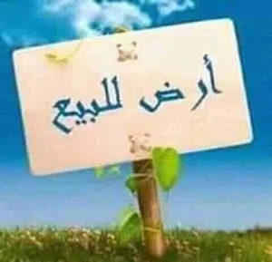 Residential Land for Sale in Jordan Valley Dead Sea