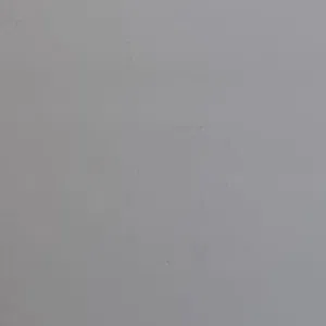 عدنان شاهين