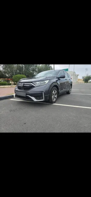 هوندا crv 2022