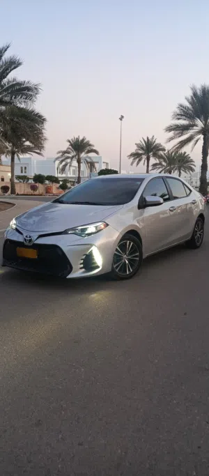 Used Toyota Corolla in Muscat