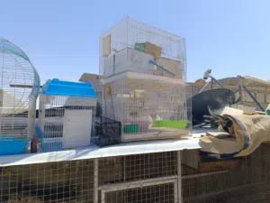 اقفاص مستخدمة للبيع
