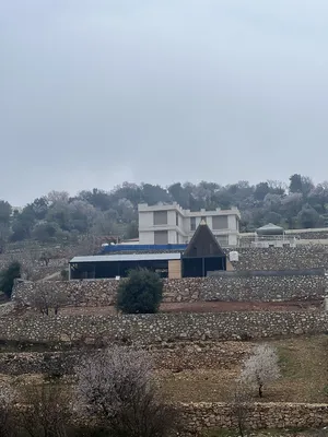 ‏أرض ‏.‏ الأردن ‏.‏ المالك‏0