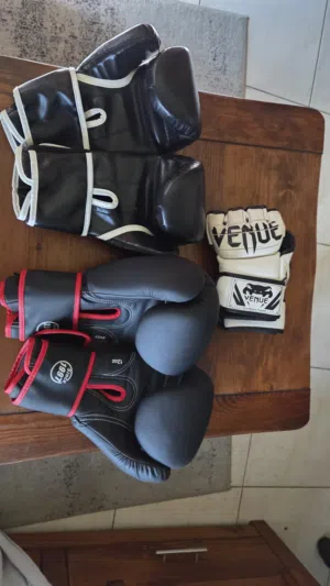 mma gloves, everlast boxing gloves (8oz) and proiron boxing gloves (12oz)